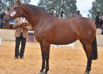 OCEANIA MOR, DE Y. LAS MORERIAS, CAMPEONA DEL CONCURSO